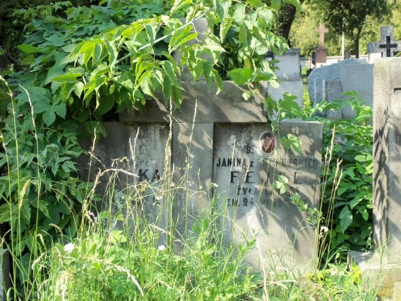 Zdjęcie grobu Zofia Olkuska (2)