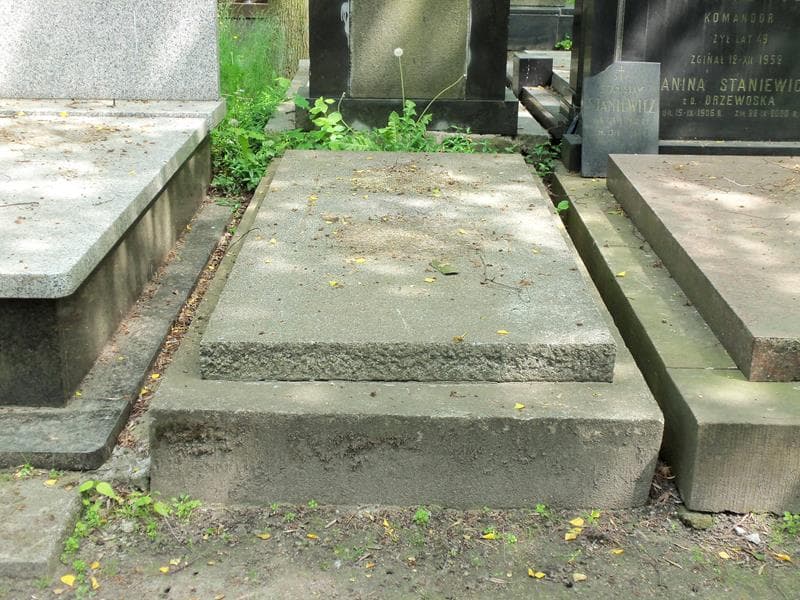 Zdjęcie grobu: Teodor Pomiński