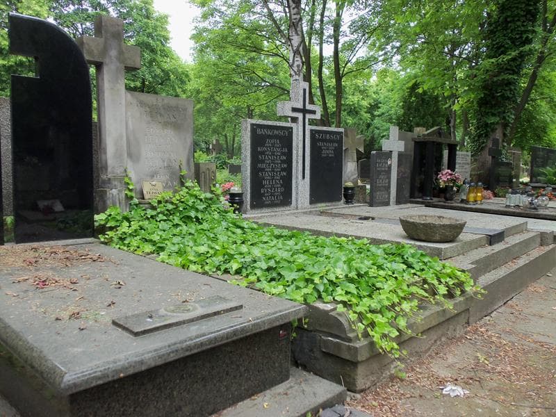 Zdjęcie grobu Leon Tejwan (1)