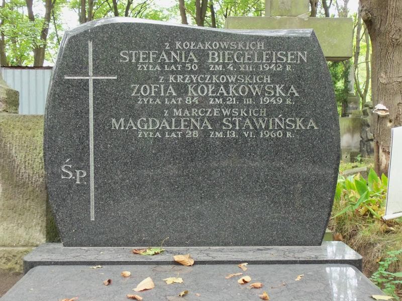 Zdjęcie grobu Zofia Kołakowska (2)