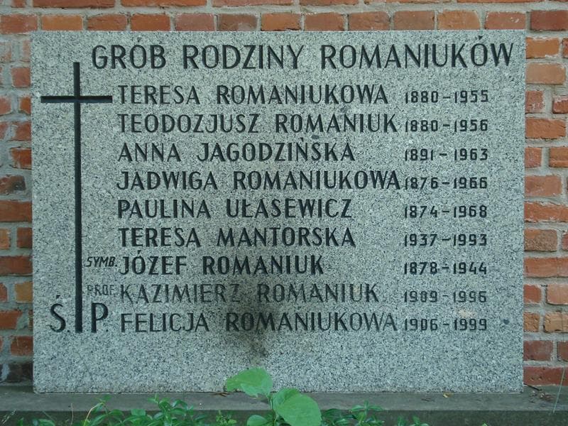 Zdjęcie grobu Anna Jagodzińska (2)