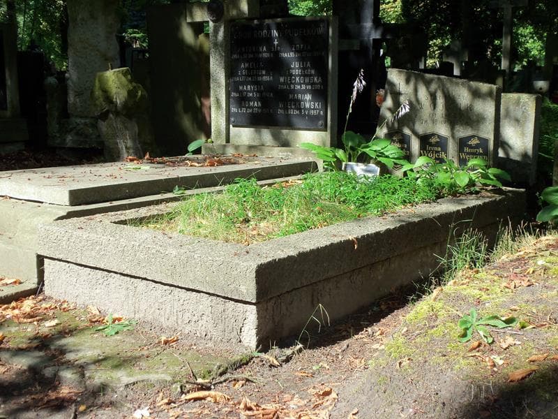 Zdjęcie grobu Zdzisława Petryńska (1)