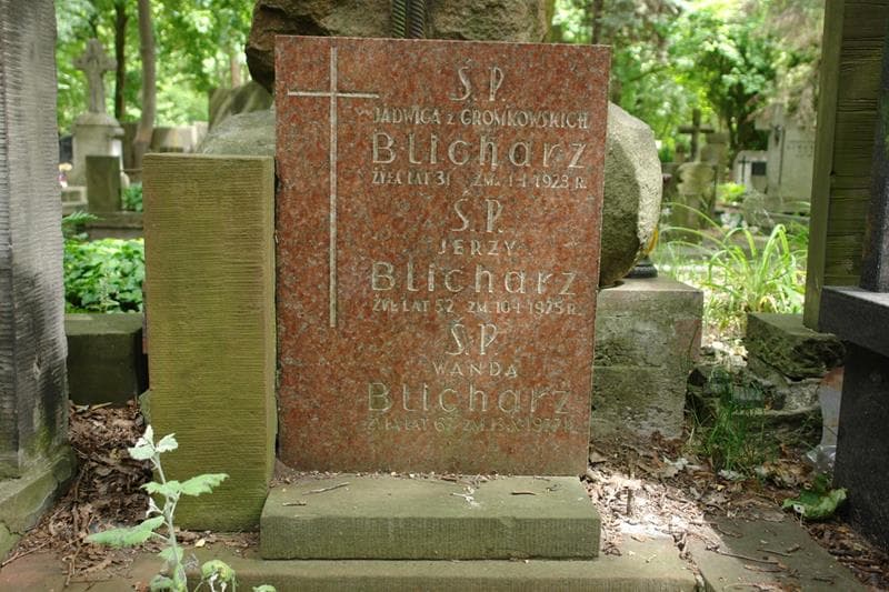Zdjęcie grobu Jerzy Blicharz (2)