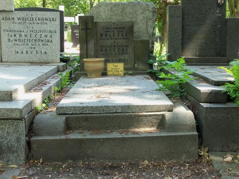 Zdjęcie grobu: Władysław Doleżal