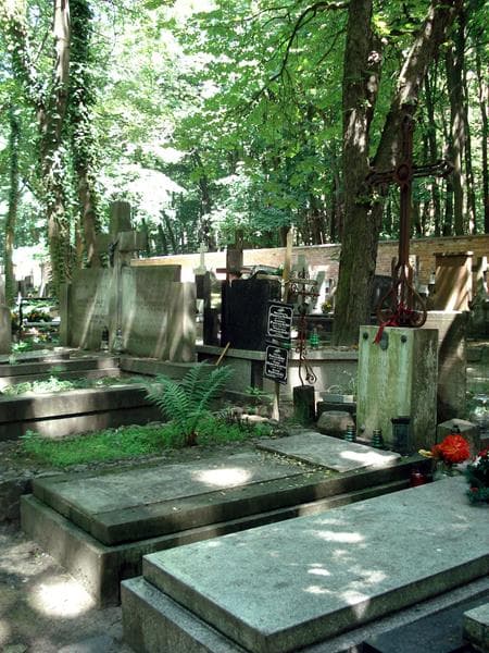 Zdjęcie grobu: Maria Tomecka