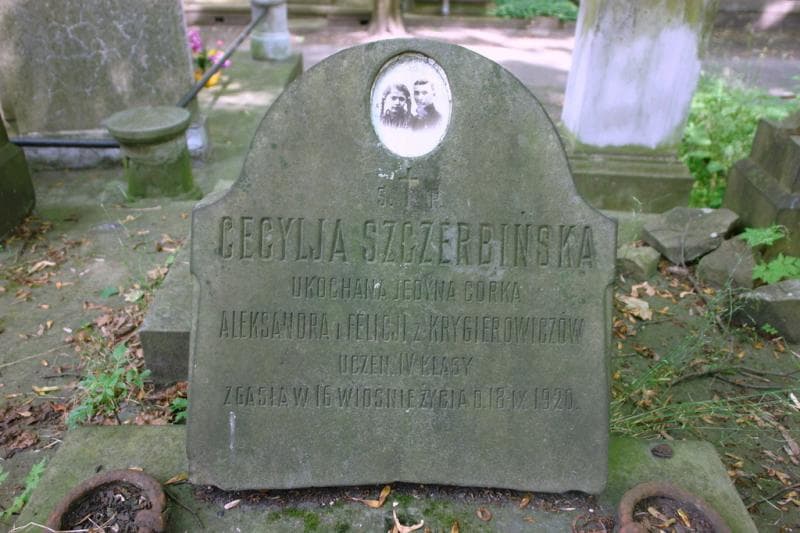 Zdjęcie grobu Krygierowiczowie (2)