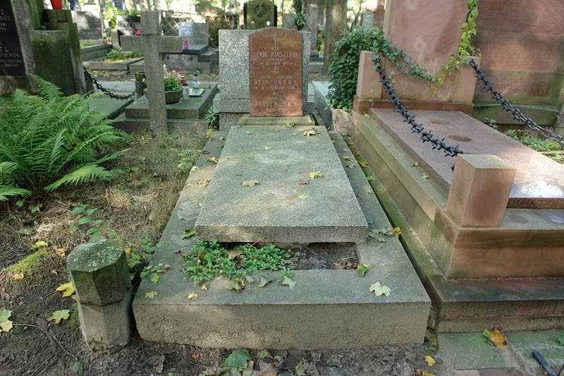 Zdjęcie grobu Ludwik Ptaszyński (1)