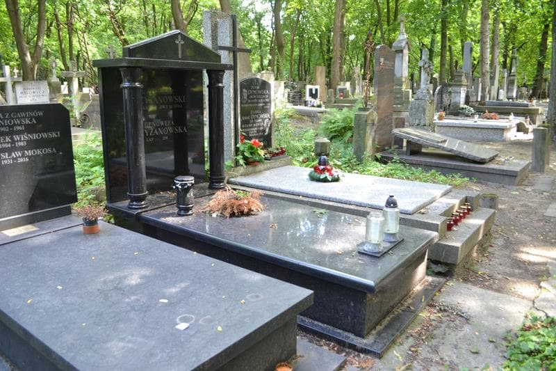 Zdjęcie grobu: Kazimierz Krzyżanowski