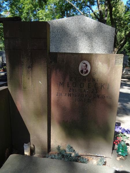 Zdjęcie grobu Zygmunt Młodecki (2)