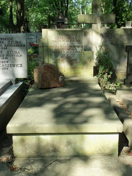 Zdjęcie grobu Dominik Domański (1)