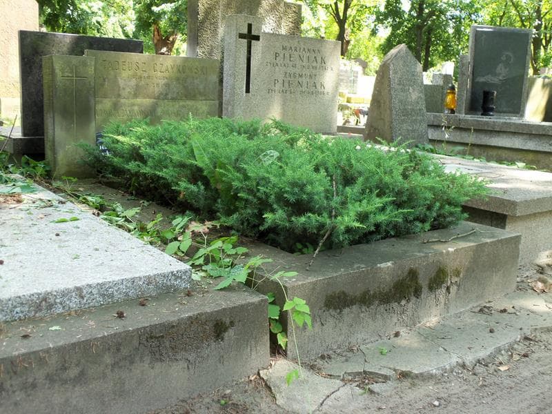 Zdjęcie grobu Tadeusz Czaykowski (1)