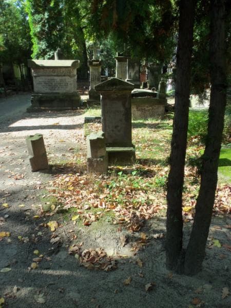 Zdjęcie grobu: Teodora Lesniowska