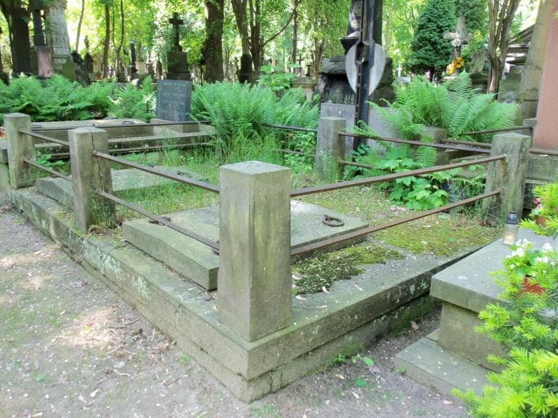 Zdjęcie grobu Wacław Idzikowski (1)