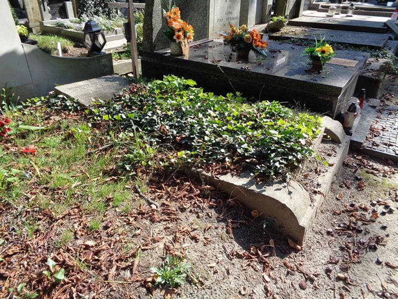 Zdjęcie grobu: Stanisława Dzierzgowska