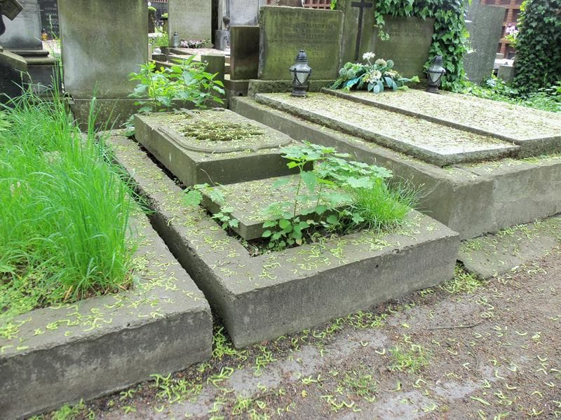 Zdjęcie grobu Eleonora Janowska (1)