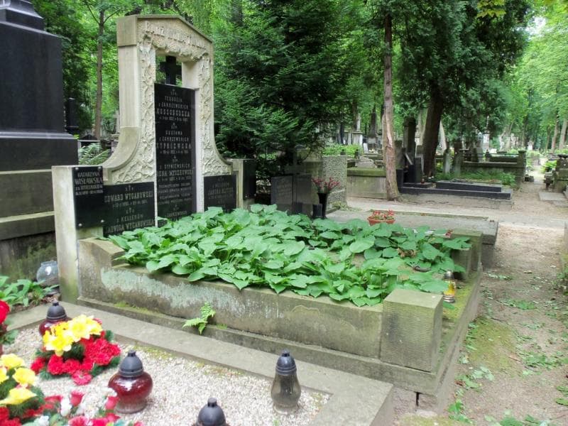 Zdjęcie grobu Edward Wyganowski (1)