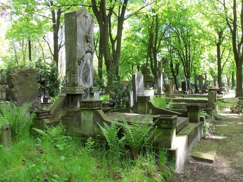 Zdjęcie grobu Wilchelm Konstanty Kuksz (1)
