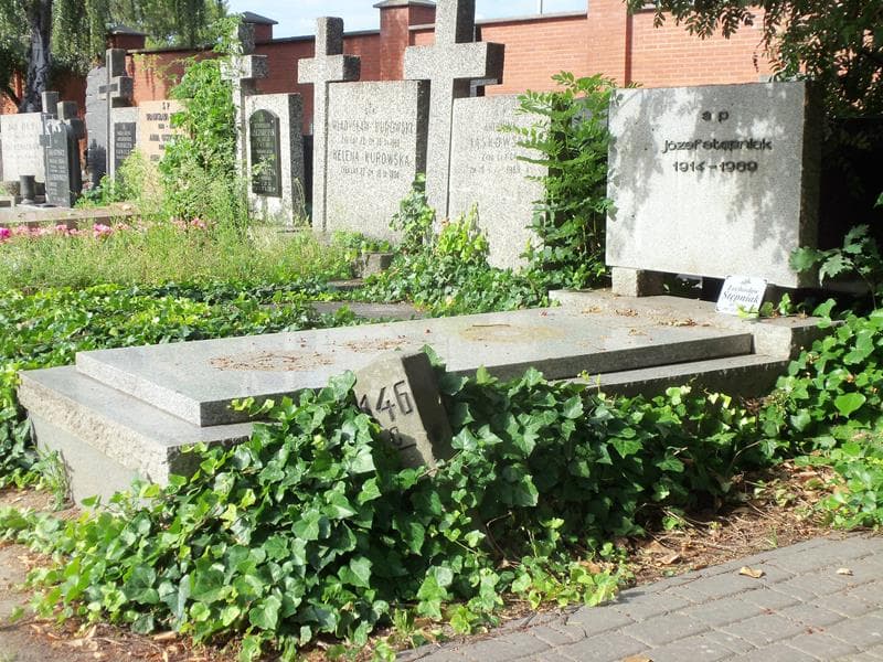 Zdjęcie grobu Józef Stępniak (1)