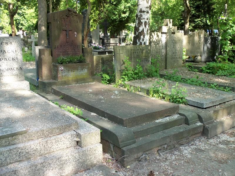Zdjęcie grobu Anna Jarosińska (1)