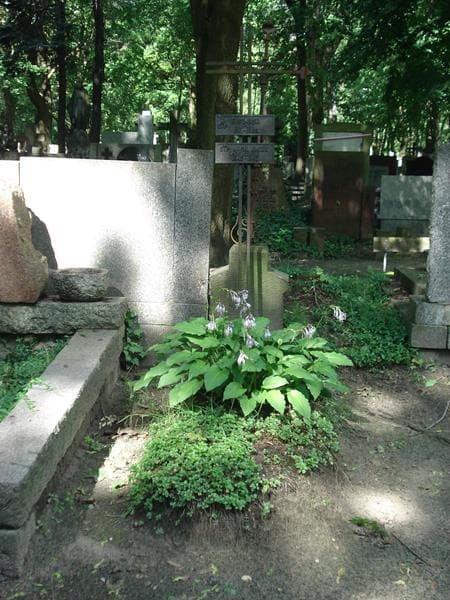 Zdjęcie grobu: Eugeniusz Kupiec