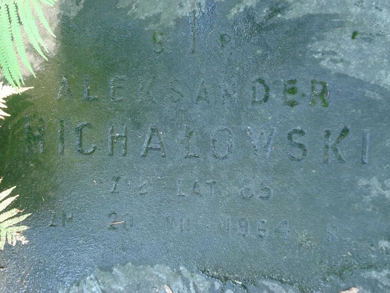 Zdjęcie grobu Aleksander Michałowski (1)