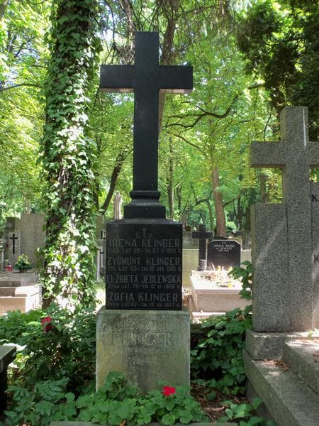 Zdjęcie grobu Zygmunt Klinger (2)