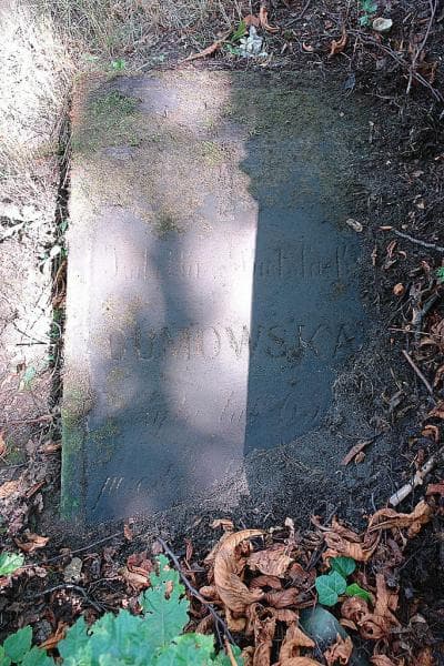 Zdjęcie grobu Izabella Gumowska (2)
