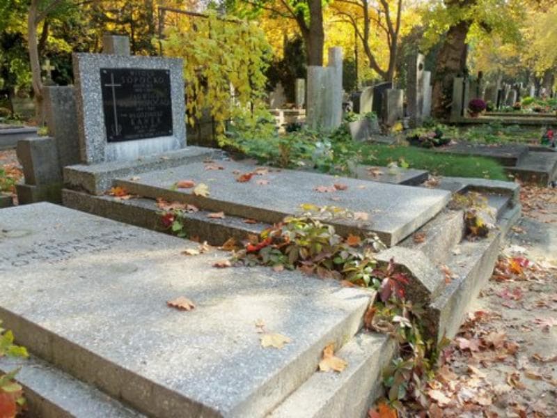 Zdjęcie grobu Włodzimierz Banek (1)