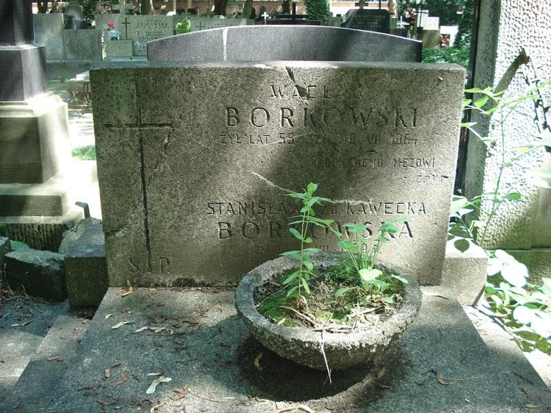 Zdjęcie grobu Wacław Borkowski (1)