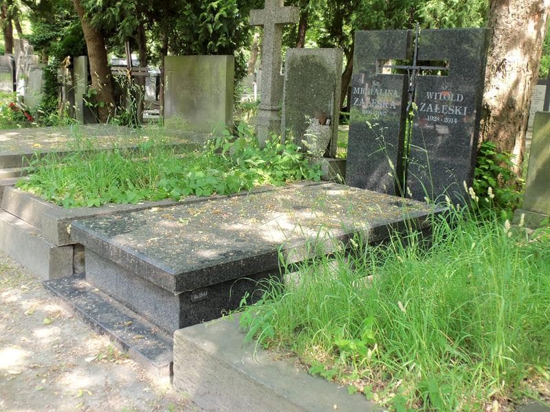 Zdjęcie grobu Witold Załęski (1)