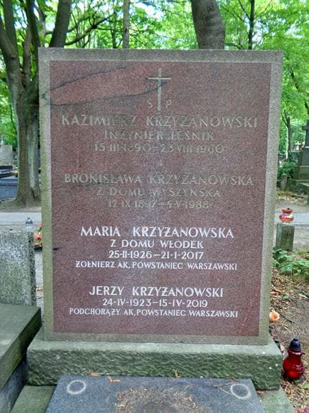 Zdjęcie grobu Kazimierz Krzyżanowski (2)