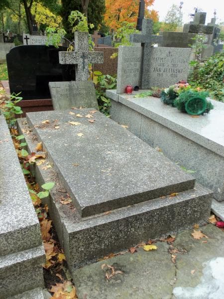 Zdjęcie grobu Stefania Zofia Mickaniewska (1)