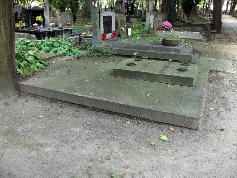 Zdjęcie grobu Byszewscy (1)
