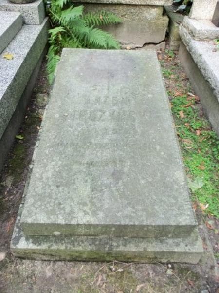 Zdjęcie grobu Antoni Męczyński (2)