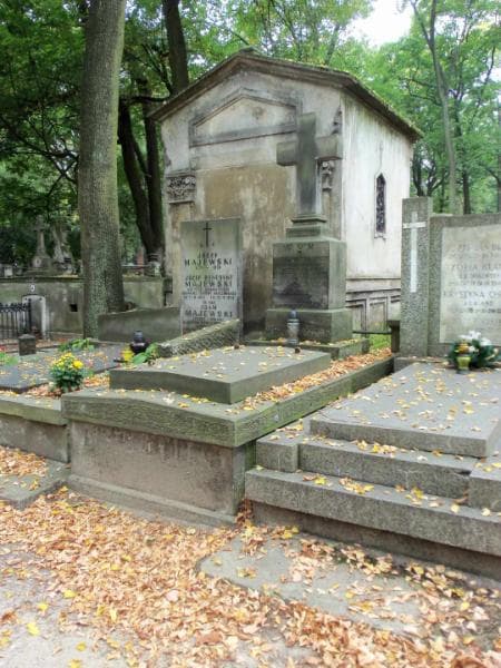Zdjęcie grobu Władysław Taczanowski (1)