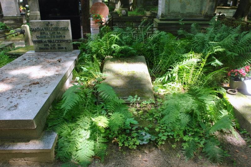 Zdjęcie grobu Marya Michałowska (1)