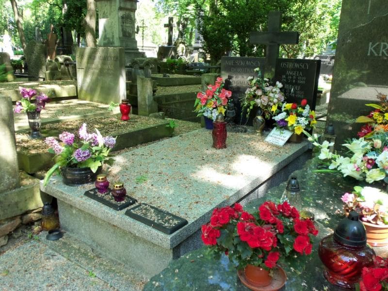 Zdjęcie grobu Romualda Mieszkowska (1)
