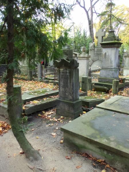 Zdjęcie grobu Stanisław Marek Jaworski (1)