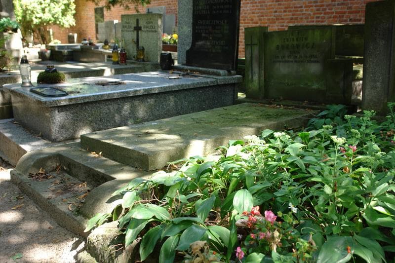 Zdjęcie grobu Zbigniew Borowicz (1)