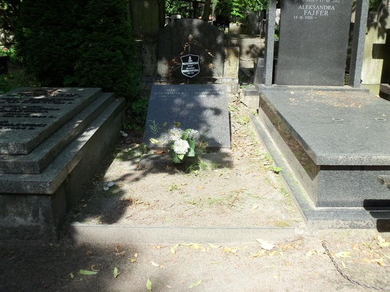 Zdjęcie grobu: Roman Wybawiński