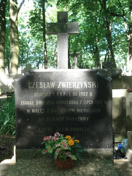 Zdjęcie grobu Aleksander Majewski (1)