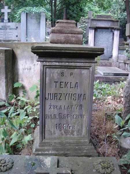 Zdjęcie grobu Antoni Zaboklicki (2)
