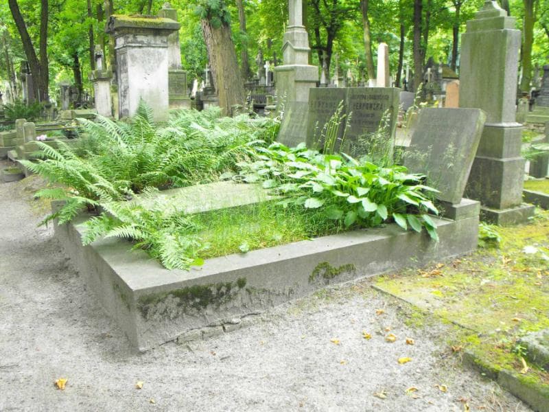 Zdjęcie grobu Maksymilian Perkowski (1)