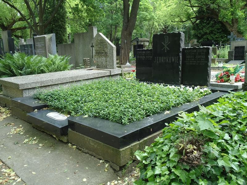 Zdjęcie grobu Franciszka Perzyna (1)