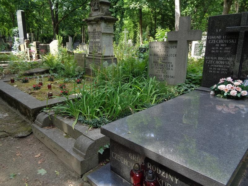 Zdjęcie grobu: Zygmunt Górski