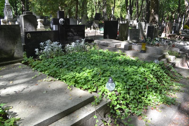 Zdjęcie grobu: Jerzy Czerwiński
