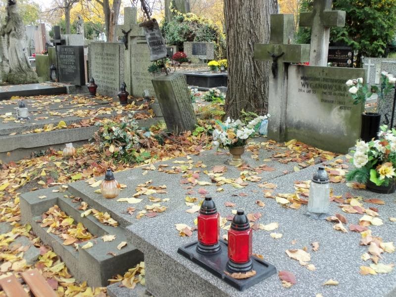 Zdjęcie grobu Władysława Wyganowska (1)