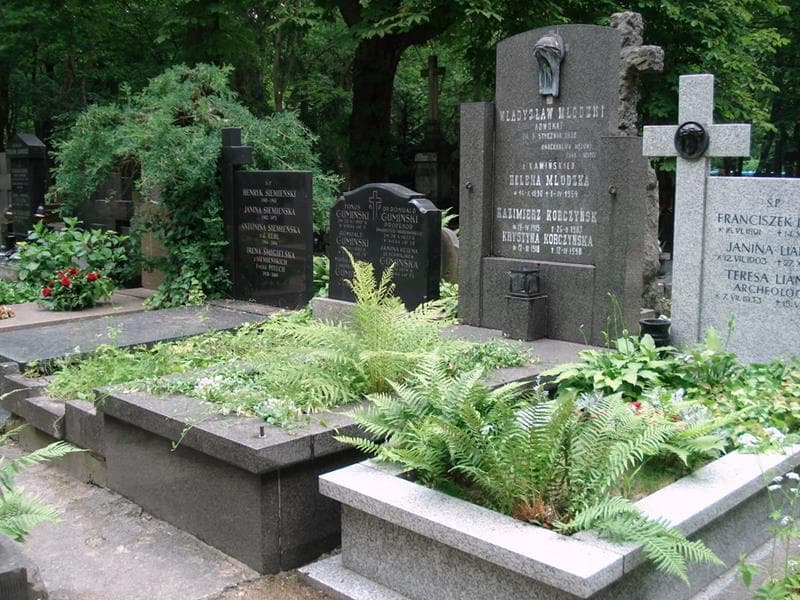 Zdjęcie grobu: Władysław Młodzki