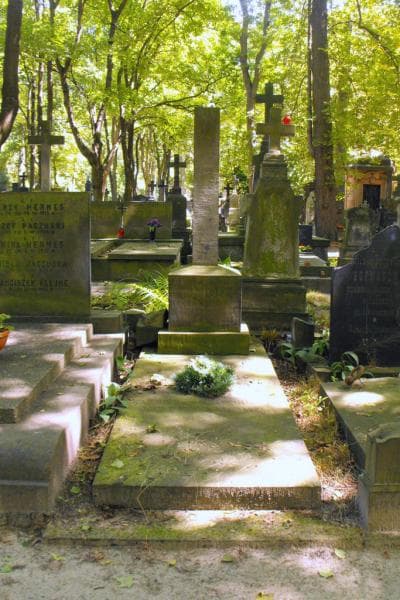 Zdjęcie grobu Stanisław Hoffman (1)