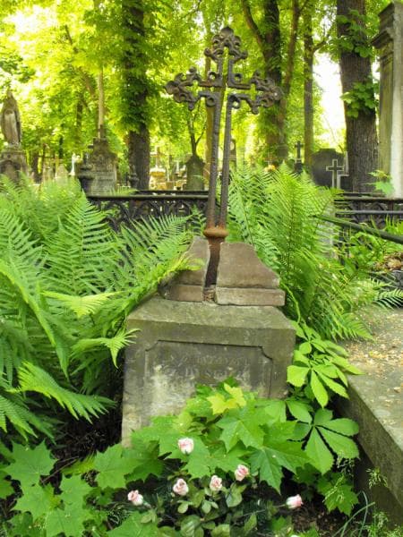 Zdjęcie grobu Antonina Dobkiewicz (1)